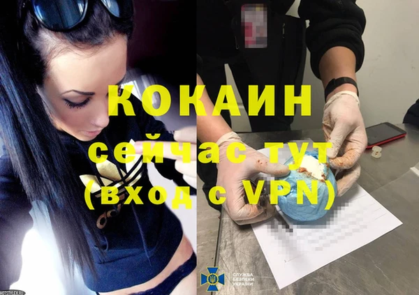 ПСИЛОЦИБИНОВЫЕ ГРИБЫ Богданович