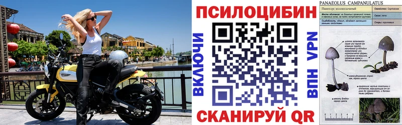 Галлюциногенные грибы прущие грибы  купить наркоту  Тюкалинск 